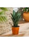  Statue da giardino per esterni | Pianta di aloe in metallo Plow & Hearth con vaso in rame, altezza 43 cm