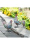  Statue da giardino per esterni | Set di statue di gallo e gallina ispirate alle piastrelle per interni/esterni di Plow & Hearth