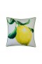  Cuscini decorativi per esterni | Cuscino decorativo al limone Plow & Hearth New York Botanical Garden®