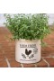  Fioriere e supporti per piante da esterno | Vaso in gres porcellanato Plow & Hearth Farm Fresh Rooster