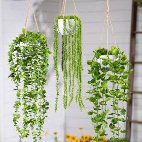  Piante e fiori finti per interni | Pianta grassa artificiale sospesa Plow & Hearth, 50 cm di lunghezza