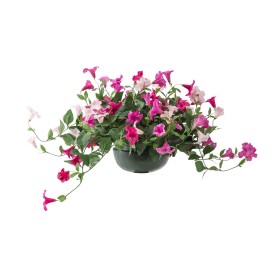  Fiori e piante finti per interni | Riempitivo per urna con petunie finte Plow & Hearth