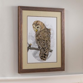  Arte murale per interni | Dipinto con cornice "Gufo barrato II" di Plow & Hearth