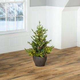  Illuminazione di alberi e ghirlande illuminate | Albero in vaso Plow & Hearth Roanoke Spruce per interni/esterni con LED bianchi caldi