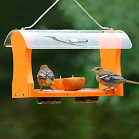  Mangiatoie per uccelli da esterno | Mangiatoia per uccelli Oriole in plastica riciclata Poly-Lumber Plow & Hearth
