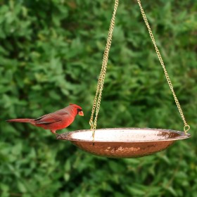  Bagni per uccelli da esterno | Plow & Hearth Bagno per uccelli sospeso in rame puro con catena in ottone lunga 17" e gancio