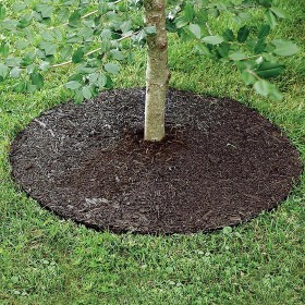  Recinzioni e bordature per giardini e spazi all'aperto | Anello per alberi in gomma riciclata con pacciame permanente Plow & Hearth, diametro 24".