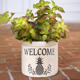  Fioriere e supporti per piante per esterni | Plow & Hearth Pineapple Welcome Stoneware Crock