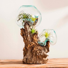 屋内用プランター＆花瓶 | Plow & Hearth 流木に手作りされた二重ガラスプランター