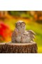  Utendørs hagestatuer | Plow & Hearth Studious Owl-statue, 18 cm høy
