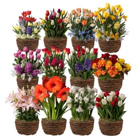  Utendørsliv Løkhager og blomster | Plow & Hearth Tolv måneder med blomsterløk Gavehager