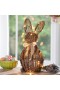  Rasvjetni osvijetljeni akcenti | LED dekoracija s uskrsnim zečićem od ratana Plow & Hearth, 46,5 cm V