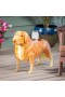  Mesas auxiliares de metal | Mesa de metal para golden retriever hecha a mano por Plow & Hearth