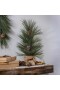  Flores y plantas artificiales para interiores | Plow & Hearth, árbol de piña de 61 cm con agujas largas y brillantes, con base de arpillera