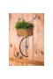  Jardineras y jarrones para interiores | Maceta colgante de metal con forma de bicicleta de Plow & Hearth