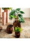  Jardineras y jarrones para interiores | Jardineras redondas de caña anidadas Plow & Hearth, juego de 3
