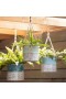  Jardineras y jarrones para interiores | Jardineras colgantes de metal pintado Plow & Hearth (juego de 3)
