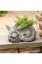 Jardineras y soportes para plantas para exteriores | Jardinera Plow & Hearth Sleeping Baby Dragon