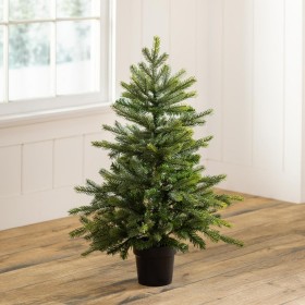  Iluminación de árboles y guirnaldas iluminadas | Árbol de Navidad en maceta de abeto Grandis de Plow & Hearth