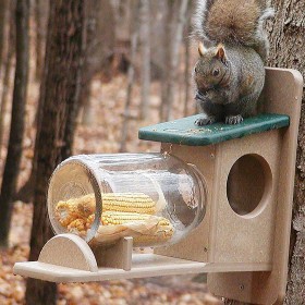  Comederos para pájaros para exteriores | Comedero para ardillas de plástico reciclado en tarro de maíz de Plow & Hearth