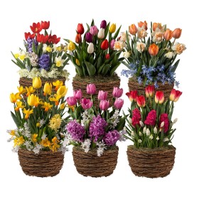  Jardines de bulbos y flores para exteriores | Plow & Hearth: Seis meses de jardines de bulbos de flores para regalar