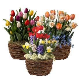  Jardines de bulbos y flores para exteriores | Plow & Hearth: Tres meses de jardines de bulbos de flores para regalar