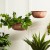  Jardineras y soportes para plantas de exterior | Jardineras colgantes de metal Plow & Hearth para interior y exterior con acabado terracota (juego de 2)