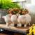 Jardineras y soportes para plantas para exteriores | Jardinera Plow & Hearth Pig