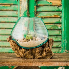  Květináče a vázy do interiéru | Střední skleněný květináč Plow & Hearth na naplaveném dřevě