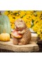  Udendørs havestatuer | Plow & Hearth Sleepy Hedgehog-statue, 18 cm høj