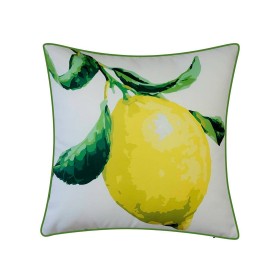  Udendørsliv Udendørs pyntepuder | Plow & Hearth New York Botanical Garden® Citron pyntepude