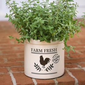  Udendørs plantekasser og plantestativer | Plow & Hearth Farm Fresh Rooster stentøjskrukke