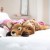  Dekorative puder til indendørs brug | Plow & Hearth Fuzzy Spotted Fawn Plys Cuddle Animal Body Pude