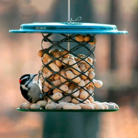  Vogelfutterspender für draußen | Plow & Hearth Vogelfutterspender aus Metallgeflecht mit ganzen Erdnüssen in der Schale