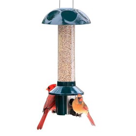  Vogelfutterspender für draußen | Plow & Hearth Peststoff Sonnenblumen-Mischsamen, schädlingssicheres Vogelfutter