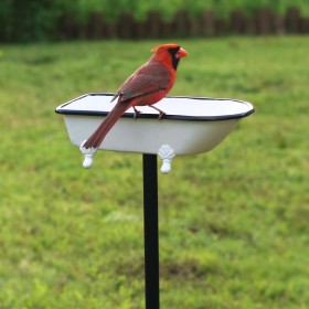  Vogelbäder für den Außenbereich | Plow & Hearth Splish Splash Vogelbad, Messing mit weißem Finish