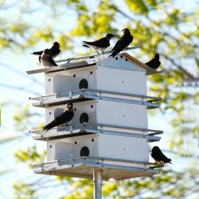  Vogelhäuser für draußen | Plow & Hearth Komplett montiertes Purpurschwalben-Vogelhaus mit 12 Zimmern